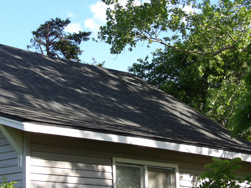 Back of the house with new roof.